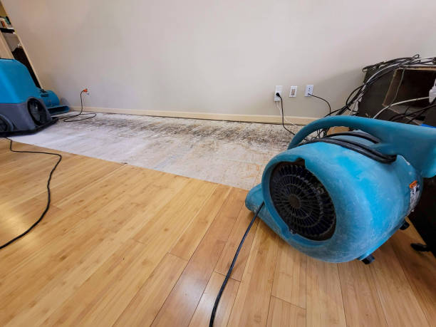 Professional Burst Pipe Water Damage technician working in Solana Beach, CA